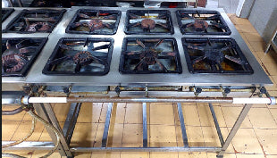 🔥 Fogão Industrial Profissional 💪