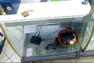 💰 Módulo Caixa Balcão 🎯