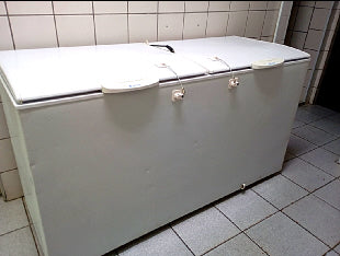 🧊 Freezer Gelopar Corredor 💎