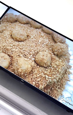 📺 Smart TV Philco 42" Roku 🎬